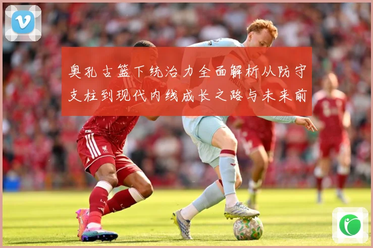 奥孔古篮下统治力全面解析从防守支柱到现代内线成长之路与未来前景