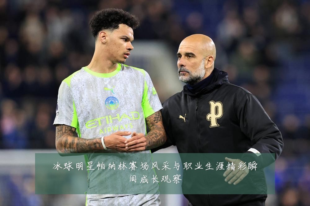 冰球明星帕纳林赛场风采与职业生涯精彩瞬间成长观察